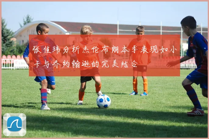 张佳玮分析杰伦布朗本季表现如小卡与乔约翰逊的完美结合
