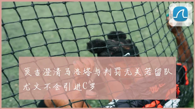 莫吉澄清马洛塔与判罚无关若留队尤文不会引进C罗