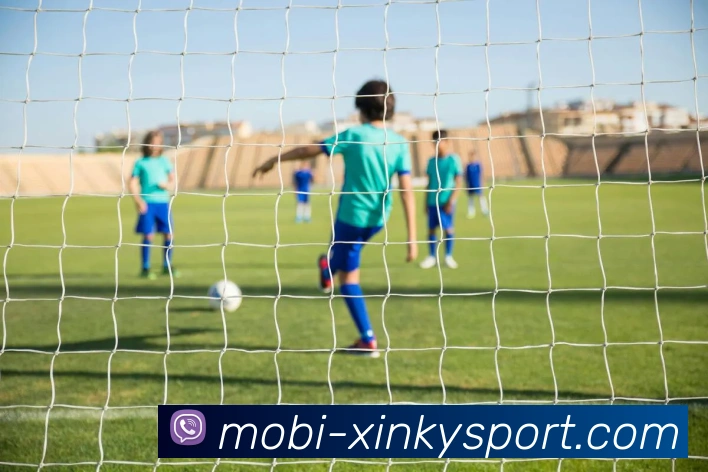 App Interface Preview