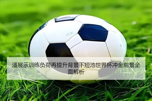 潘展乐训练负荷再提升背景下短池世界杯冲金前景全面解析 - KYgaming